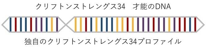 ホーム > キャリア・人材育成 > クリフトンストレングス（ストレングスファインダー）