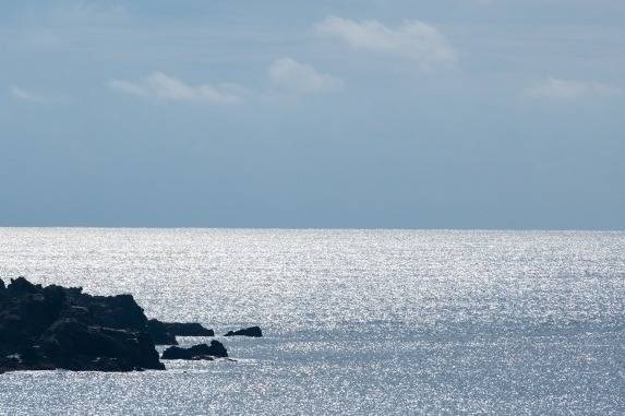 HOME ＞ ブログ ＞ マネジメント ＞ 任せるという覚悟