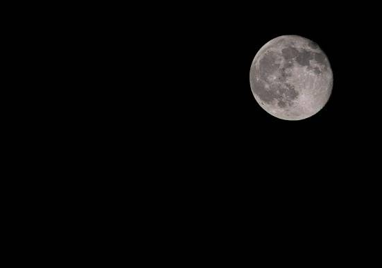 HOME ＞ ブログ ＞ 仕事観／ホスピタリティ ＞ 優しさでも厳しさでもなかった。私に足りなかったのは「軸」だった。