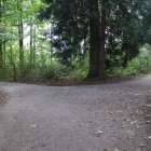 TOP ＞ 働き方・キャリア ＞ 「いい人」を卒業したとき、本当の信頼が始まる。